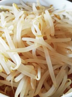 材料1つ!シャキシャキもやしの酢醤油和え-レシピのメイン写真