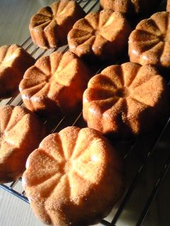 ハニーレモン☆ヨーグルトケーキ-レシピのメイン写真