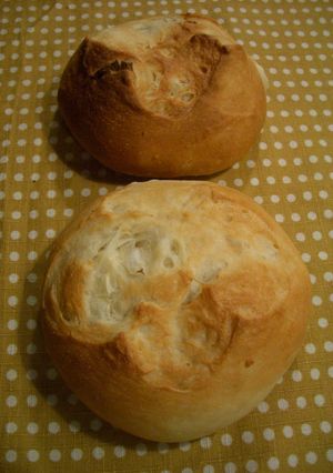 フレッシュ玉ねぎのオニオンパン-レシピのメイン写真