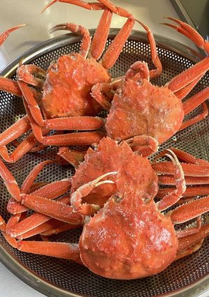 セコガニを茹でる-レシピのメイン写真