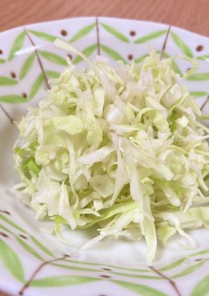 岩塩のキャベツの千切り-レシピのメイン写真
