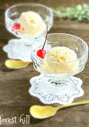 手作り『バニラアイスクリーム』-レシピのメイン写真