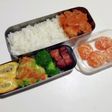 ラグビー小僧のお弁当231025