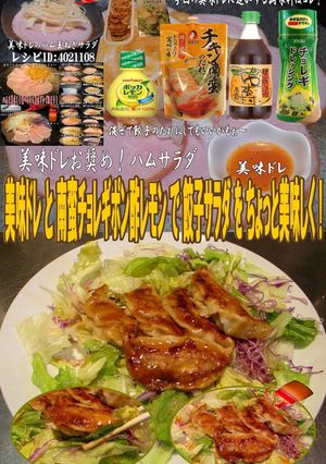美味ドレ南蛮チョレギポン酢レモン餃子サ-レシピのメイン写真