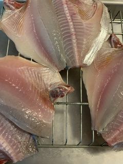 簡単!鯵の干物-レシピのメイン写真
