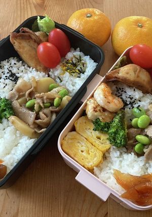 高校生男子弁当387 女子弁当82-レシピのメイン写真