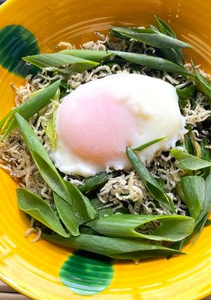 【野菜ソムリエ】九条ねぎ丼-レシピのメイン写真
