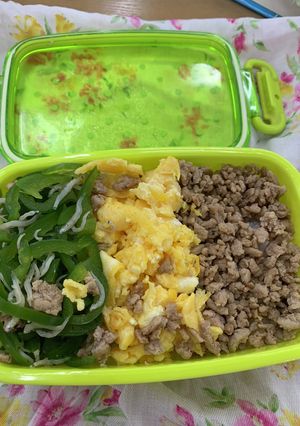 三色そぼろ弁当（20231027）-レシピのメイン写真