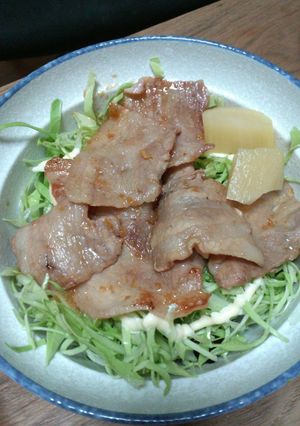 ドン!DON!丼!朝からガッツリ豚丼ドン-レシピのメイン写真