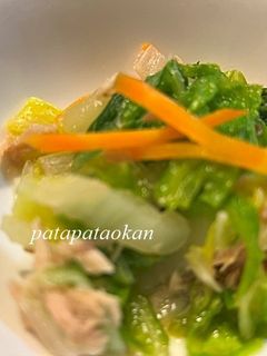 白菜とツナのサラダ-レシピのメイン写真