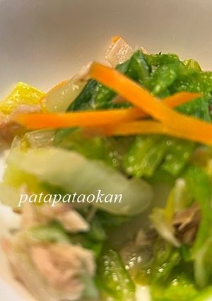 白菜とツナのサラダ-レシピのメイン写真