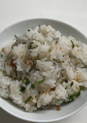 梅干し・ちりめんじゃこ・大葉の混ぜごはん-レシピのメイン写真