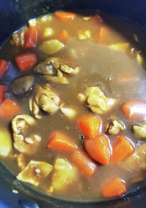 自分用カレーメモ-レシピのメイン写真