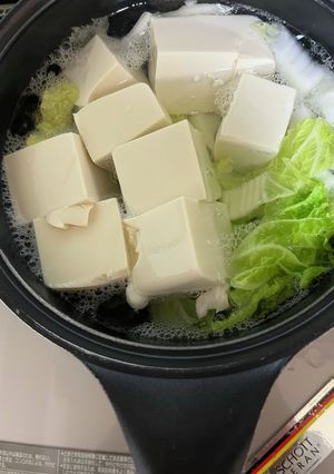 白菜と豆腐だけ湯豆腐！-レシピのメイン写真