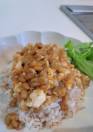 栄養満点　納豆丼！-レシピのメイン写真