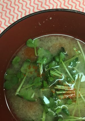 今朝の味噌汁/トマトとかいわれ大根-レシピのメイン写真