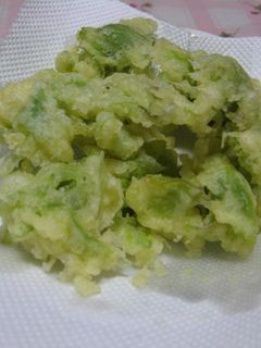 春風のふきのとうのてんぷら-レシピのメイン写真