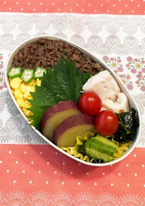 女子高校生弁当　2023.11.3-レシピのメイン写真