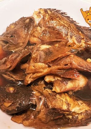 すき焼きのタレでガシラ（カサゴ）の煮付け-レシピのメイン写真