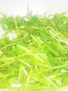簡単すぎな水菜の胡麻和え-レシピのメイン写真