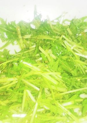簡単すぎな水菜の胡麻和え-レシピのメイン写真