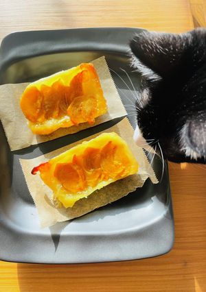 超楽ちんパイシートで柿のパイ-レシピのメイン写真