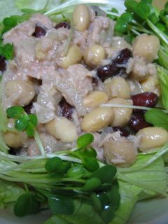 さっぱり豆サラダ♪-レシピのメイン写真