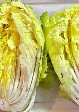 栄養をムダにしない！白菜の切り方-レシピのメイン写真