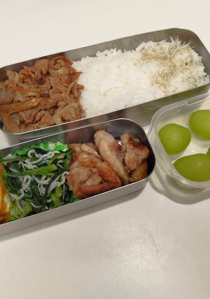 ラグビー小僧のお弁当231106-レシピのメイン写真
