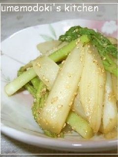 春の味覚☆ウドの胡麻和え-レシピのメイン写真