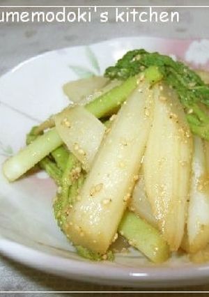 春の味覚☆ウドの胡麻和え-レシピのメイン写真