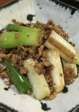 ☆長ネギが主役！ひき肉甘味噌しょうゆ炒め-レシピのメイン写真