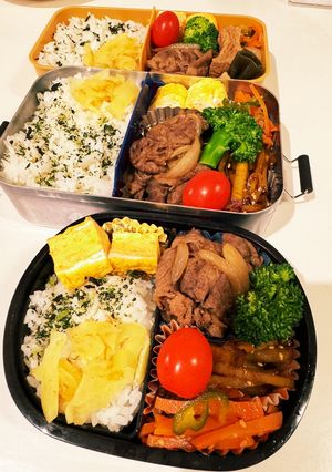 家族弁当　23/11/2-レシピのメイン写真