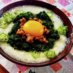 รูปของ 無農薬野菜・オカワカメ(雲南百薬)