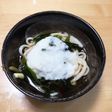 めちゃ美味しい!とろろぶっかけうどん