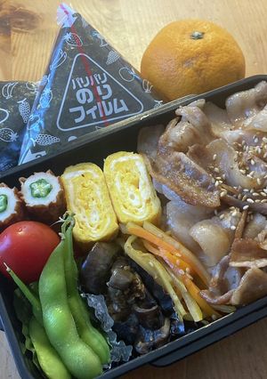 高校生男子弁当 393-レシピのメイン写真