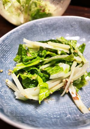 簡単白菜サラダ-レシピのメイン写真