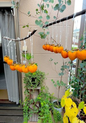 干し柿-レシピのメイン写真