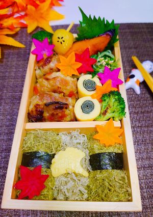 女子学生のお弁当（2023.11.9）-レシピのメイン写真