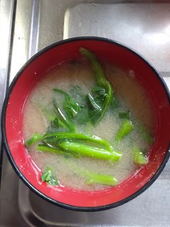 とっても簡単★冷凍菜の花のお味噌汁-レシピのメイン写真