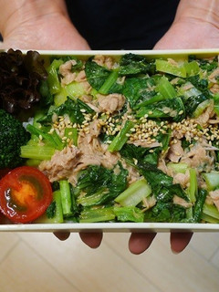 電子レンジで簡単★小松菜とツナの丼弁当-レシピのメイン写真