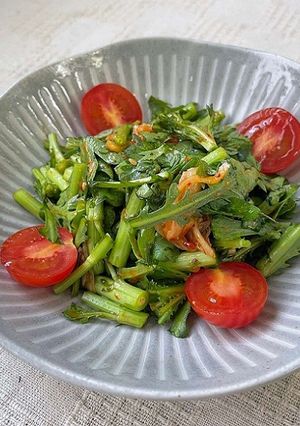 ベジ♪春菊とキムチの和え物-レシピのメイン写真