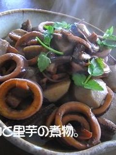 イカと里芋の煮物-レシピのメイン写真