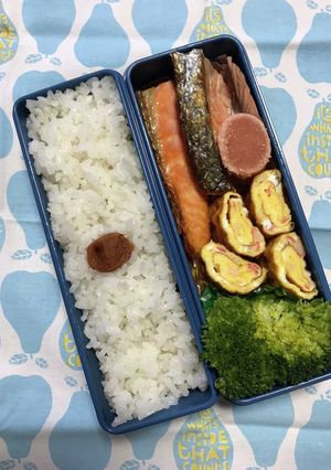 20231110マイ弁当-レシピのメイン写真