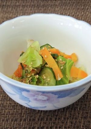 ♦野菜たべよう♦野菜のカミカミ和え-レシピのメイン写真