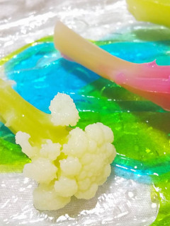 二色カリフローレのピクルス-レシピのメイン写真