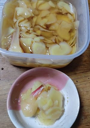 新生姜甘酢のガリ-レシピのメイン写真