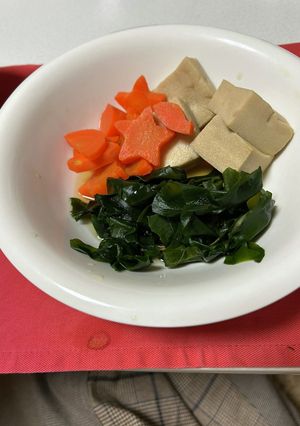 高野豆腐の煮物-レシピのメイン写真