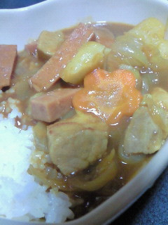 ☆★ポーク入りカレー★☆-レシピのメイン写真