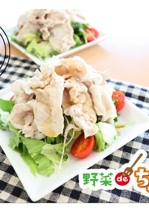 ＜健康レシピ＞あっさり減塩冷しゃぶサラダ-レシピのメイン写真